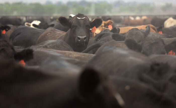 White House methane plan funds orphan well cleanup, rewards reduced farm emissions ⋆ Michigan Advance