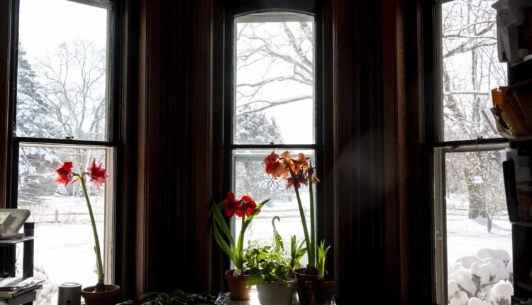 Pioneer family home near Ann Arbor on National Register
