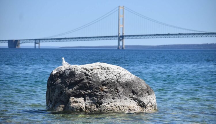 Oil and gas lobby files to slash new federal pipeline safety rule ⋆ Michigan Advance