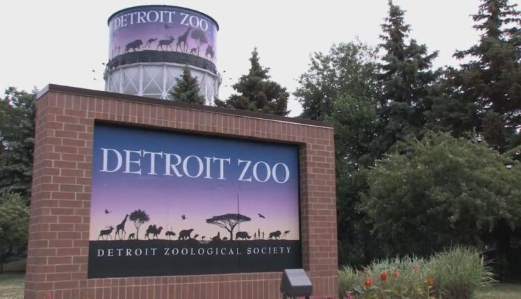 Sip your favorite drinks, see the animals during adult-only nights