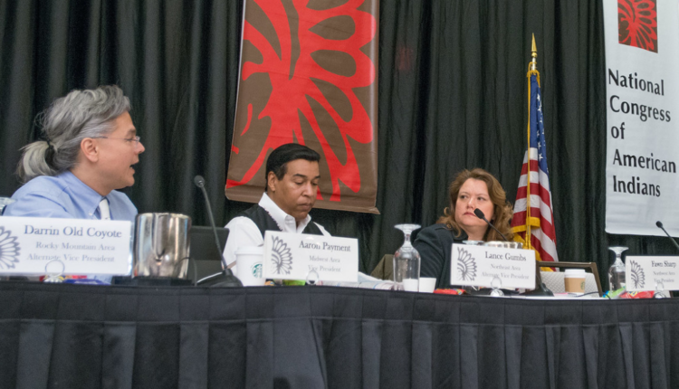 Sault Tribe chair resigns amid censure, heated tribal election ⋆ Michigan Advance