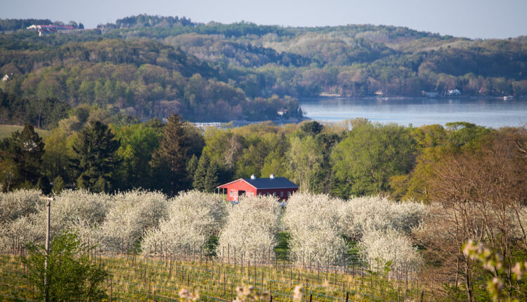 Wineries, Farmland & Simplifying the Ordinance - Notes from the Citizens Agricultural Advisory Committee