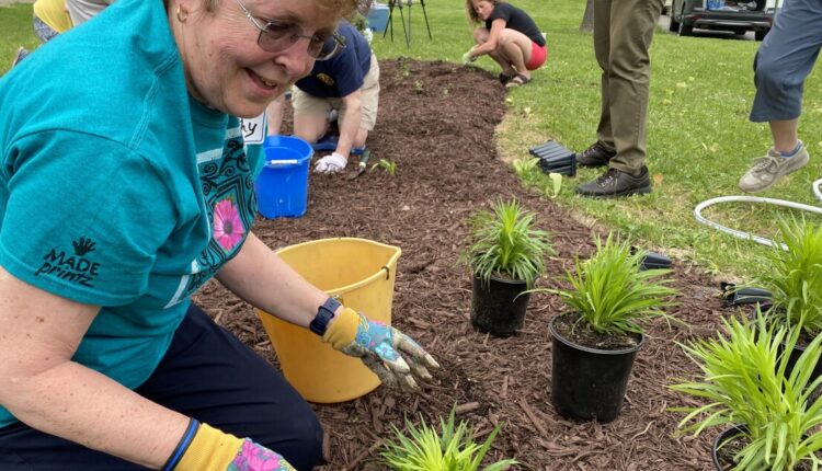 Lansing's RE Olds Transportation Museum home to new pollinator garden
