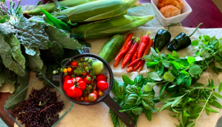 Detroit farms give neighbors chance to buy-in on quality food