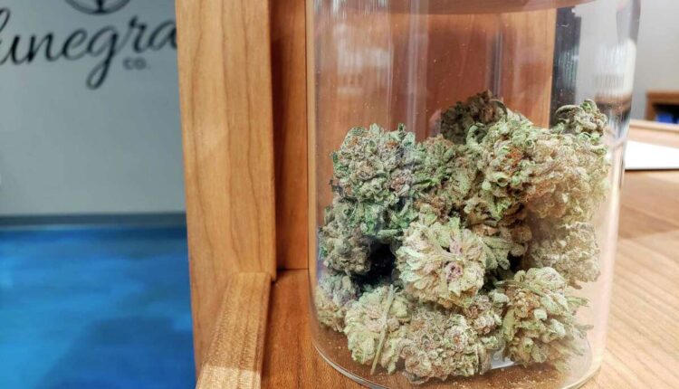 Northern Michigan cannabis retailer launches 'canna-tourism' campaign