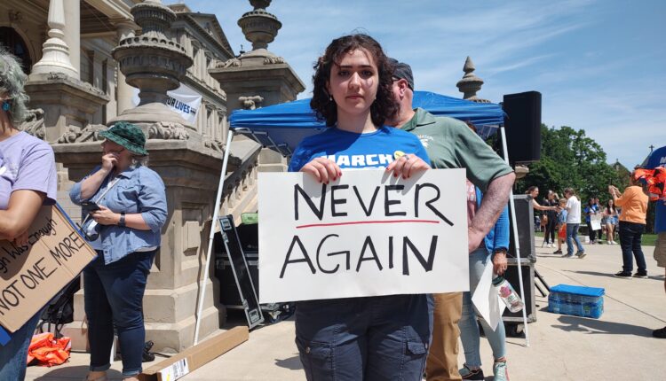 Hundreds gather on Michigan Capitol steps Saturday demanding action to end gun violence ⋆ Michigan Advance