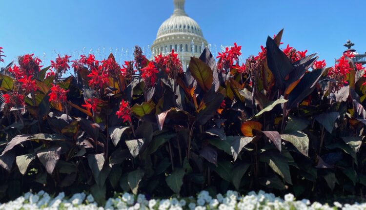 Bipartisan U.S. Senate deal on gun control met with praise from Biden, Democrats ⋆ Michigan Advance