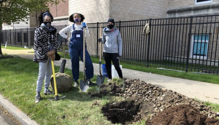 Detroit Nonprofit Is Turning Redlined Streets Green