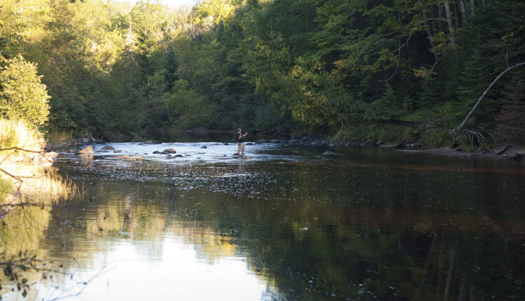 Fly-fishing-Sturgeon-River-Ehlco-North-Country-Trail.jpeg