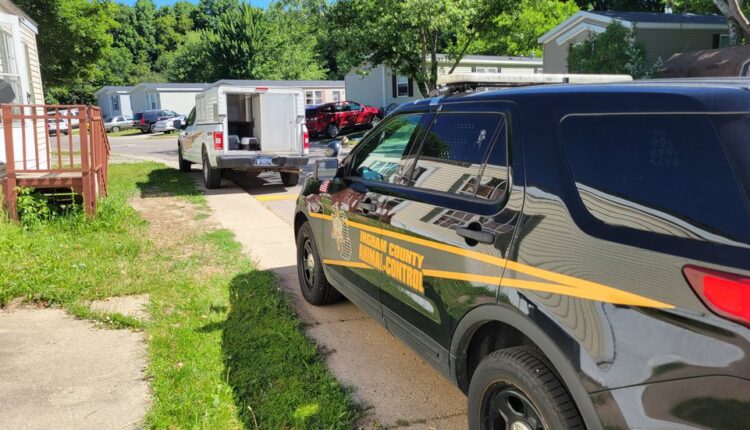 22 cats removed from home in Lansing citing poor living conditions
