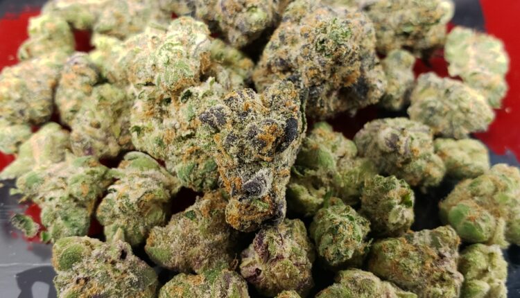 Detroiters can soon apply for limited number of adult-use marijuana licenses