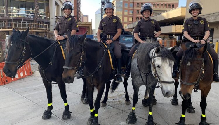 Kent County Sheriff's Office training horses downtown GR