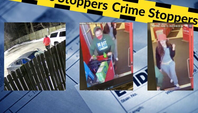 Lansing police need help in larceny, fraud cases
