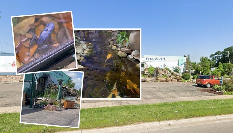 Have You Seen This Huge (and Pretty Unique) Pet Store in Lansing?
