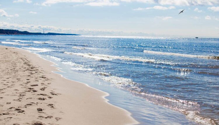 Metro Detroit man among 2 dead after Lake Michigan drowning