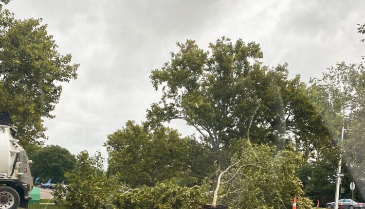 How Detroiters can report downed trees, power lines and outages