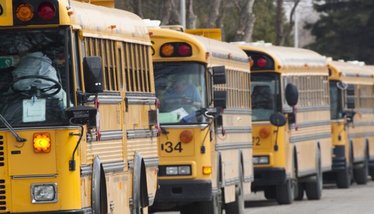 floodwedbuses4739580_binary_948675.jpg