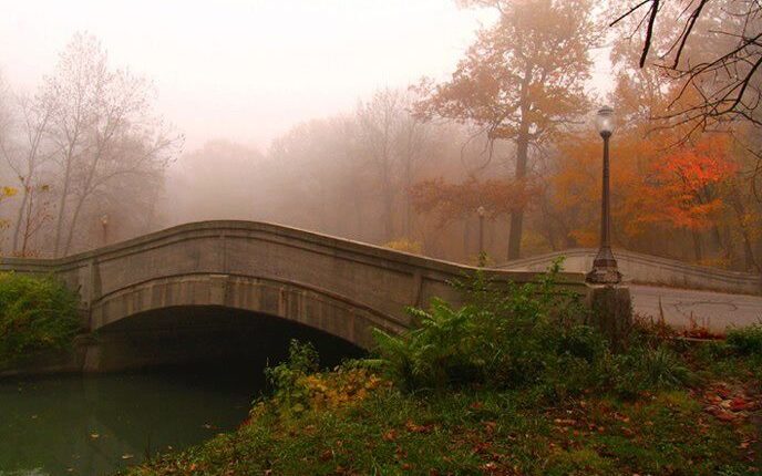 7 Spots to Marvel at Fall Colors in Detroit & Around Michigan
