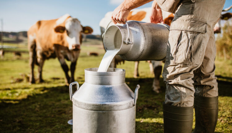 Federal government has given $800 million to keep indebted farmers afloat ⋆ Michigan Advance