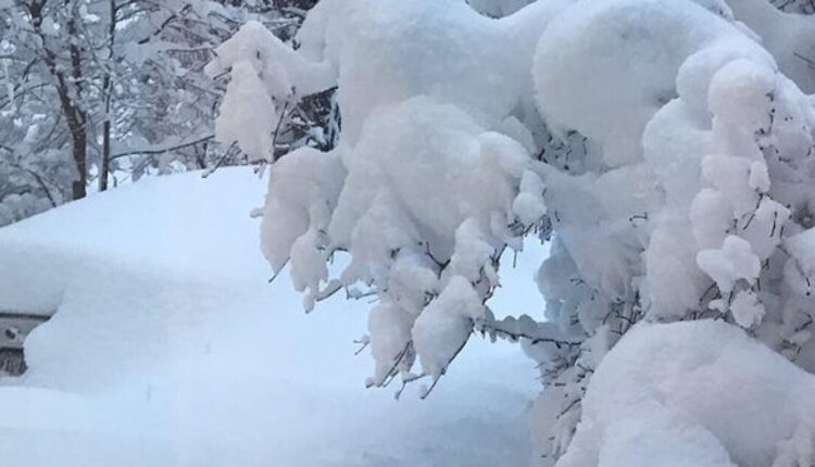 Over 30" Reported in East Grand Rapids
