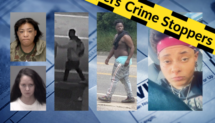 Lansing police looking for info on mailbox thefts, missing person and more
