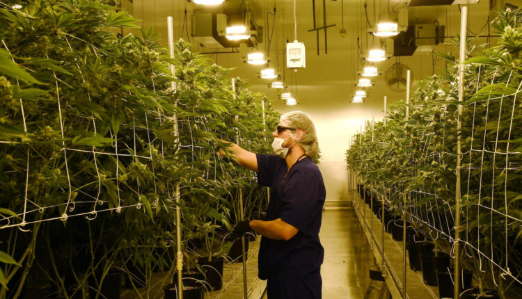 Attempt to help states ease banking for marijuana businesses stumbles in Congress ⋆ Michigan Advance