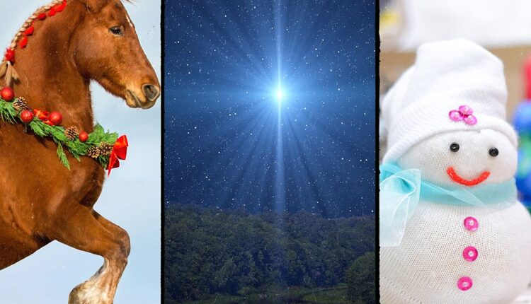What's Happening in Lansing This Weekend: Horses & Holiday Fun
