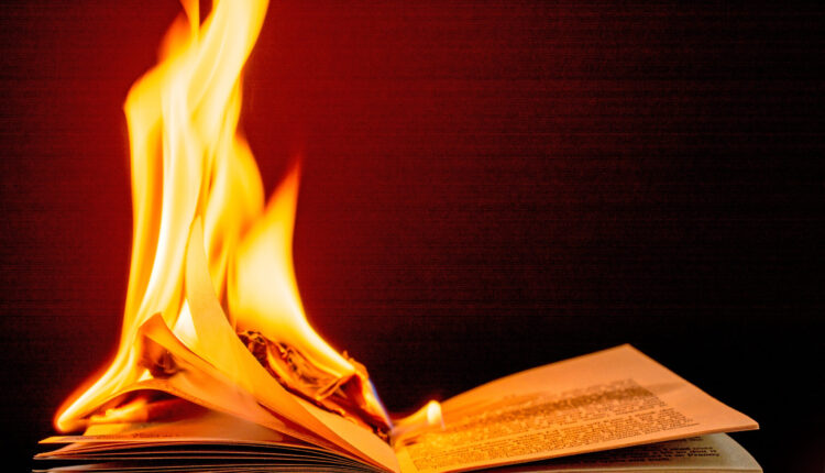 The angry grandmother’s 'Twelve Banned Books of Christmas' ⋆ Michigan Advance