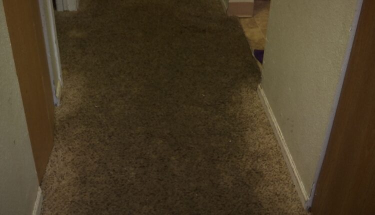 Heating, leaks hit Lansing apartments after snow storm
