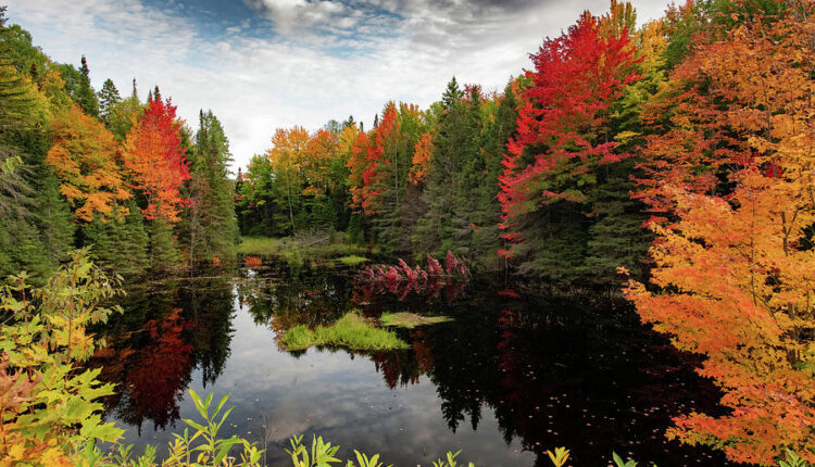 U.S. House GOP would make it easier for feds to give public lands away to states ⋆ Michigan Advance