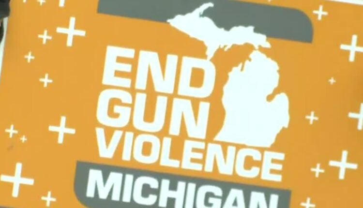 Lansing sees new push for gun reform laws
