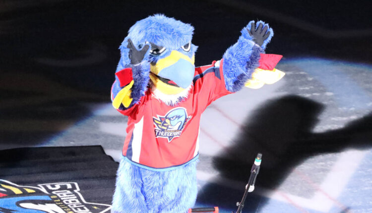 Springfield Thunderbirds took on the Grand Rapids Griffins