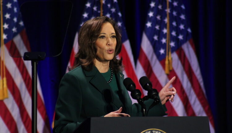 'Can we truly be free if a woman cannot make decisions about her life?' ⋆ Michigan Advance