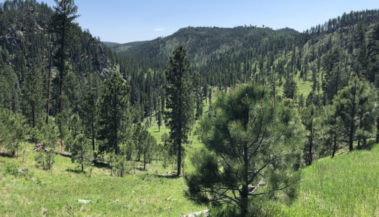 USDA to use outdoors recreation to boost economy around national forests, grasslands ⋆ Michigan Advance