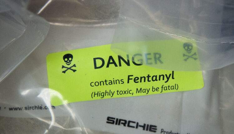 Biden in State of the Union speech to call for bipartisan action on fentanyl crisis ⋆ Michigan Advance