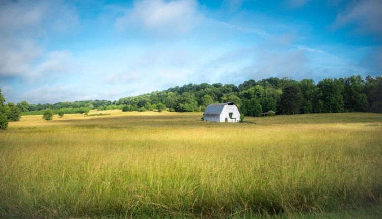 Market innovation a path to economic equity in farming, Vilsack tells ag conference ⋆ Michigan Advance