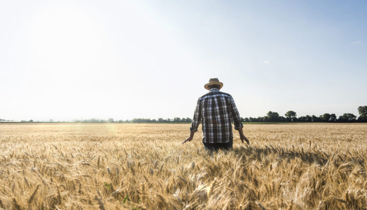 U.S. agriculture secretary unveils initiatives aimed at small and midsized operations ⋆ Michigan Advance