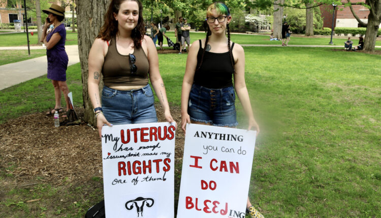 Idaho Legislature’s attorneys file appeal over right to intervene in federal abortion case ⋆ Michigan Advance