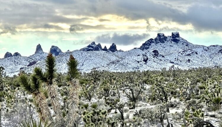 Biden officially designates new monuments in Nevada and Texas at conservation summit ⋆ Michigan Advance