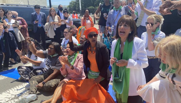 As future of abortion pill is weighed, Democrats in Congress see little they can do ⋆ Michigan Advance