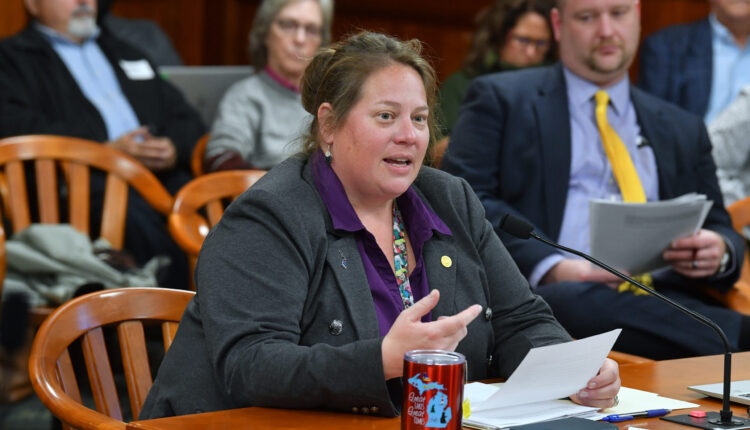 Bipartisan lawmakers introduce youth indigent defense bills ⋆ Michigan Advance