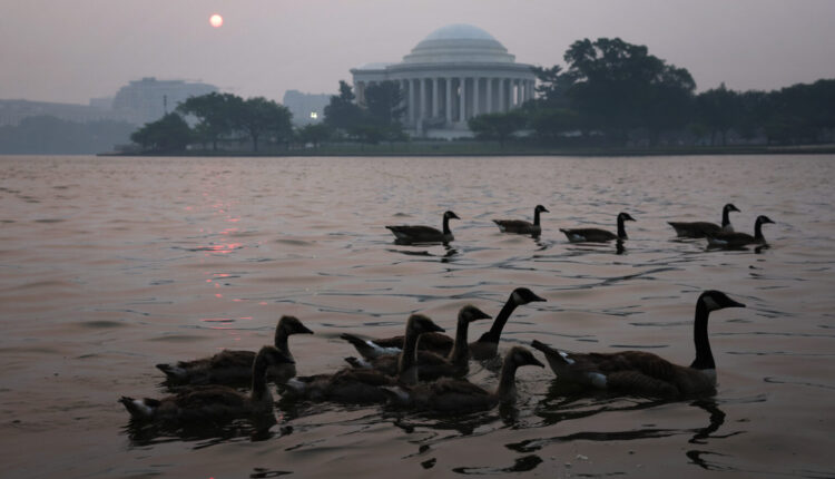 Dominion over the Earth? Who were we kidding? What the wildfires teach us ⋆ Michigan Advance