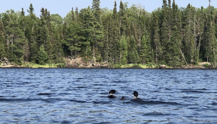 Decarbonization ambitions ignite debate over mining, permitting ⋆ Michigan Advance