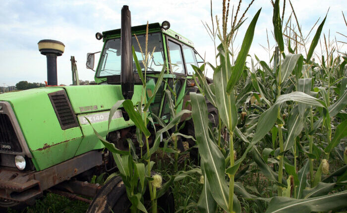 Drought hits the Midwest, threatening crops and the world’s food supply ⋆ Michigan Advance