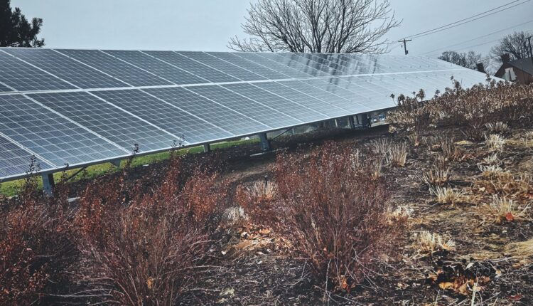 Sparring over clean energy standards continues at committee hearing ⋆ Michigan Advance