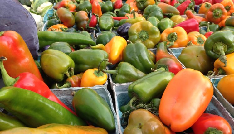 Food benefits for low income families at risk in a government shutdown, White House says ⋆ Michigan Advance