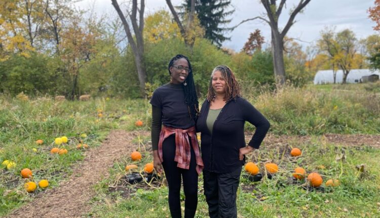 Pumpkin patch party to bring fall fun to Detroit’s east side
