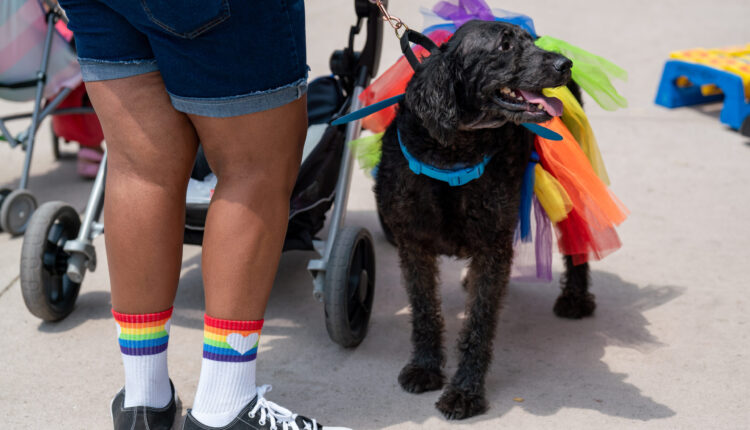 Michigan cities rank above national average on annual LGBTQ+ scorecard ⋆ Michigan Advance