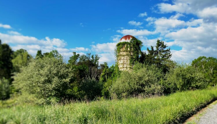 Rural Michiganders face housing, broadband and workforce challenges, report says ⋆ Michigan Advance