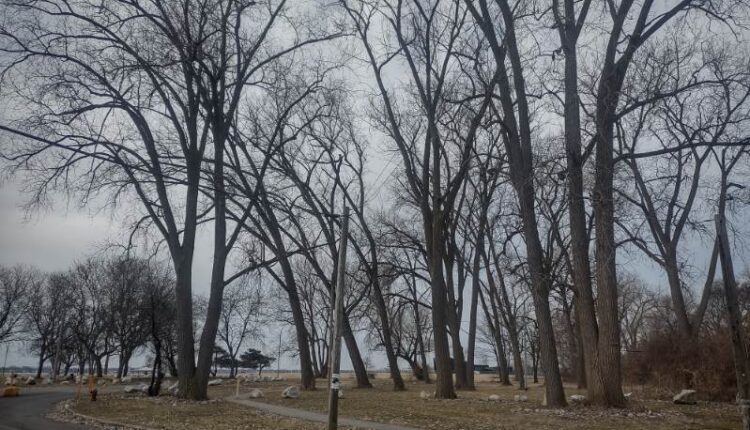 Detroit to hold public walk-through of AB Ford Park amid concern